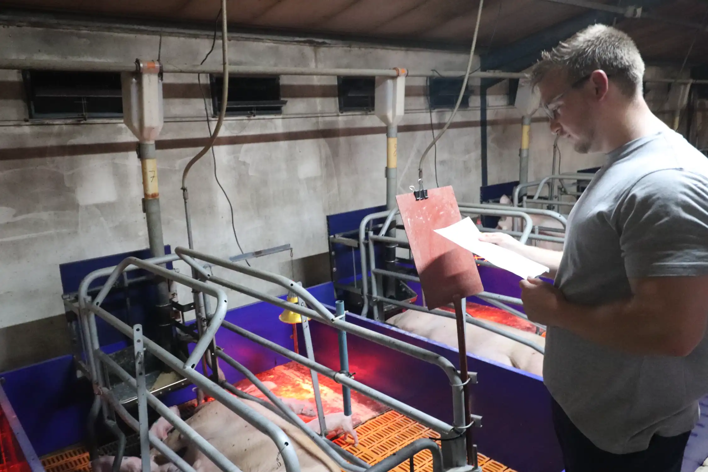 Stuart standing at a pig pen